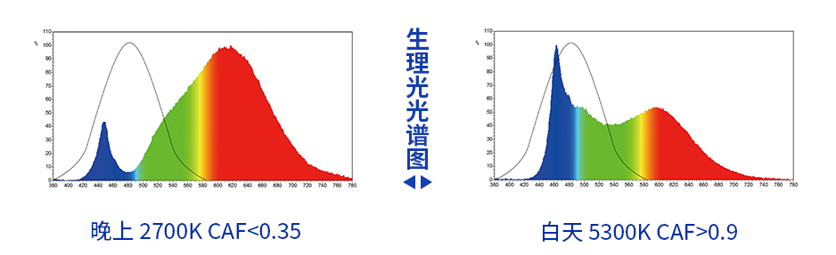 未标题-1.jpg